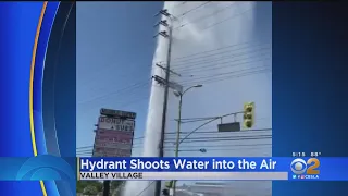 Vehicle Accident Collides With Fire Hydrant In Valley Village