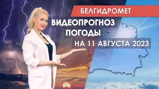 Видеопрогноз погоды по областным центрам Беларуси на 11 августа 2023 года