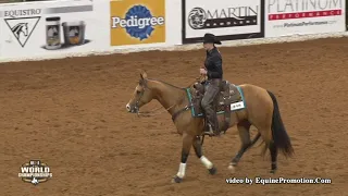 Shiners Darlin ridden by Sarah L. Dawson  - 2018 Celebration of Champions (Open Bridle, FINALS)