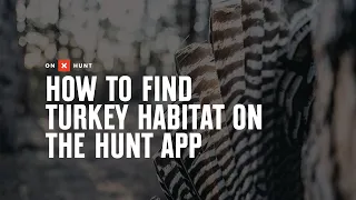 How To Find Turkey Habitat On The Hunt App