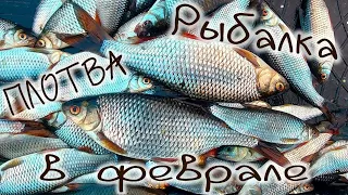 Плотва , рыбалка на Ладожском озере в феврале Roach, fishing on Lake Ladoga in February