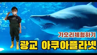 수원 광교 아쿠아플라넷/아이들이랑 가볼만한곳/가오리 체험하기