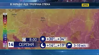 Тропічна спека йде в Україну