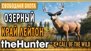 theHunter Call of the Wild #3 🐰 - Озерный Край Лейтон (часть 2) - Свободная Охота