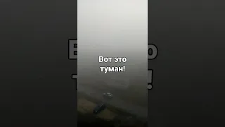 туман-туманище Тамбов