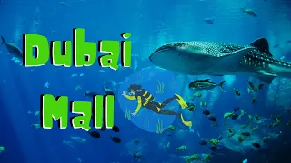 Why you must visit Dubai mall |  Part 1