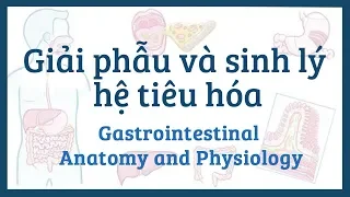 Giải phẫu và sinh lý hệ tiêu hóa