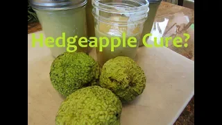 Hedgeapple Smoothie