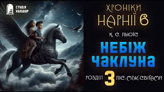 Хроніки Нарнії 6 "Небіж чаклуна" 3 розділ аудіокнигиукраїнською #нарнія #хронікинарнії #фентезі