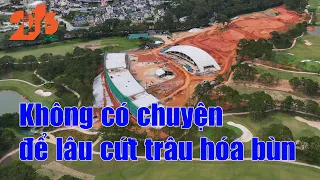 Không có chuyện để lâu cứt trâu hóa bùn               #diendan216