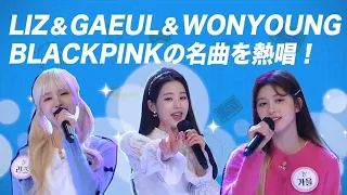 IVE Wonyoung, Gaeul & Liz cover Forever Young by Blackpink