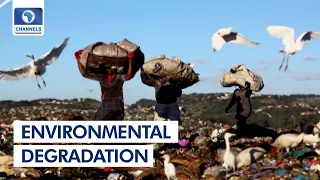 How Environmental Degradation Affects Human Health + More | Eco Africa