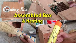 Assembled Breeding Box and Notix P Powder Use Before Nesting Material For Love BIrds |