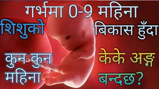 गर्भमा 0 - 9 महिना शिशुको बिकास हुदा , कुन महिना कुन अङ्ग बन्छ?