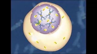 FISH Technique | Fluorescent In Situ Hybridization HD Animation