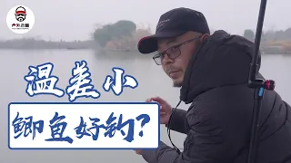 冬季温差小的天气，鲫鱼更好钓吗？【户外老曹】