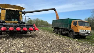 😱З слабкими нервами не дивитись‼️молотимо кукурудзу‼️комбайн CLAAS LEXION 570👍а як сіять після🌽🤣