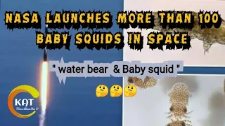 NASA Launches more than 100 BABY SQUIDS in Space