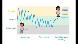 Prescribing Opioid Agonists: Unpacking Methadone, Buprenorphine & Naltrexone