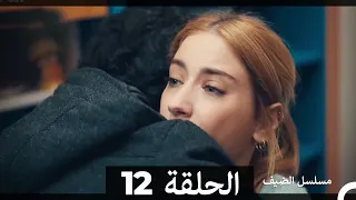 مسلسل الضيف الحلقة 12