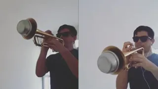 Pelados em Santos - Mamonas (trompete)
