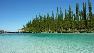 Cuisine of New Caledonia | Wikipedia audio article