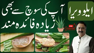 Aloe Vera Benefits | Kawar Gandal Ke Fayde  | Aloe Vera Gel, Face Mask, Hair Growth