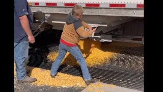 Corn Harvest 2023