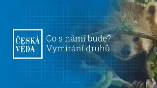 Co s námi bude? Vymírání druhů