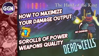 How to Maximize your damage output in Dead Cells | Scrolls of Power and Weapons Quality