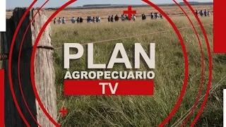 Programa del Plan Agropecuario del 13 de mayo de 2024