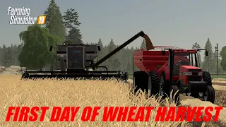 WHEAT IS DRY LET THE GLEANER EAT | FS19