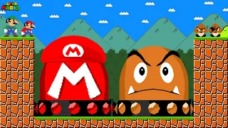 Can Mario and Luigi Collect Custom Ultimate Mario and Goomba Switch in New Super Mario Bros. Wii?