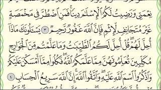 Урок № 36. Красивое чтение суры "аль-Маида", аяты 1-9. #АрабиЯ​ #Коран #Narzullo #ArabiYA