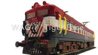 The Pink Engine - 1:100 Scale Indian Railways WAG-7 "Tiger Face" HO Gauge Weathered Rolling Model