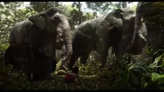 Disney's The Jungle Book | Show Them Respect | Available on Blu-ray, DVD and Digital NOW