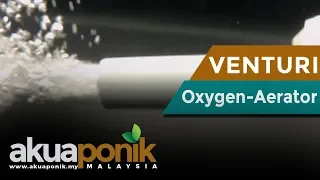 DIY Venturi Pump | Venturi Injector | Akuaponik | Hidroponik