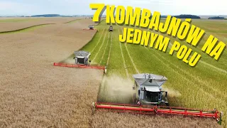 Żniwa Rzepaku Kombinat Rolny Kietrz 2023 -  7 KOMBAJNÓW NA JEDNYM POLU