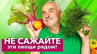 ЗРЯ ИХ ПОСАДИЛИ РЯДОМ! Какие растения не терпят близкого соседства