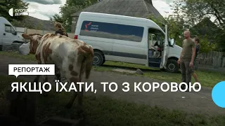 Волонтери евакуювали з Краматорська родину з коровою у будинок на Київщині