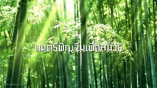 ดนตรีบรรเลงพิณจีนเพื่อสมาธิ สุขกาย สบายใจ (relax music)