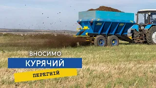 Як зменшити кількість мінеральних добрив?Вносимо перепрілий курячий послід!