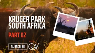 Amazing South Africa: Kruger Park Safari Part 2