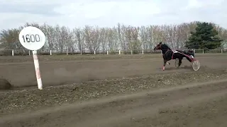 квалификационный заезд, старший возрост,г Петропавловск