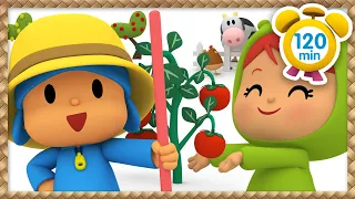 🍅 POCOYO in ENGLISH FULL EPISODES - Vegetable garden [120 min] | VIDEOS and CARTOONS for CHILDREN