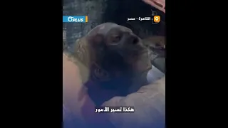"ماذا حدث يا فرعون؟".. سائح تركي يهزأ بفرعون في المتحف المصري بالقاهرة