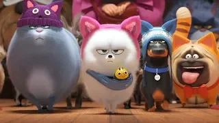 The Secret Life of Pets 2 - Now Showing | Universal Pictures Trinidad