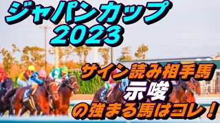 ジャパンカップ2023サイン読み相手馬｜解読の示唆の強まる馬はコレ！