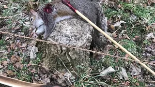 Primitive Bow Squirrel Hunting