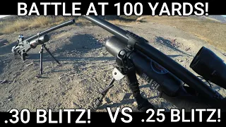 HATSAN BLITZ .25 VS BLITZ .30 AT 100 YARDS AND BEYOND! SEMI AUTO PCP AIRGUN DOES ARMY BOARD TEST!